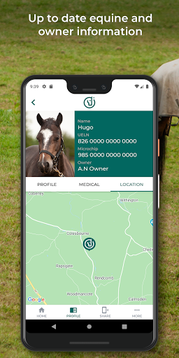 Digital Stable Screen 3