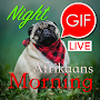 Afrikaans Morning & Night Gifs