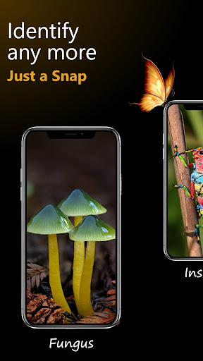 Android application Plant, Bug, Fungus -Identifier screenshort