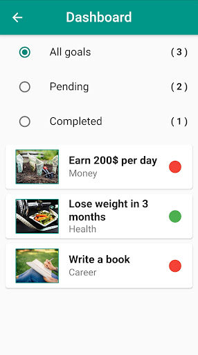 Life Wheel and Life Goals Screen 3