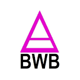 Binary World Bank icon