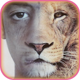 Face Morphing icon