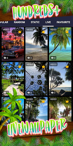 coconut tree wallpaper Screen 3