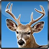 Archery Jungle Deer Hunting 3D icon