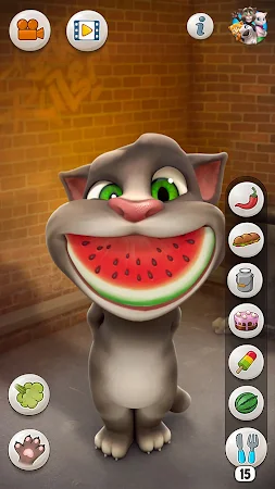 Game screenshot Говорящий Том hack