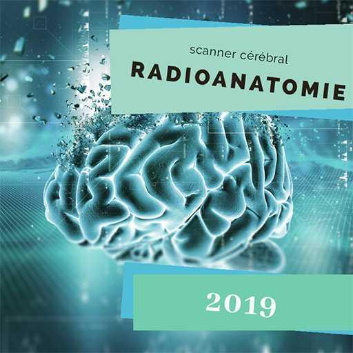 radio-anatomie