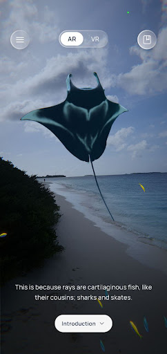 Manta Story Screen 2