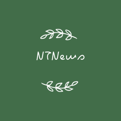 NTNews logo