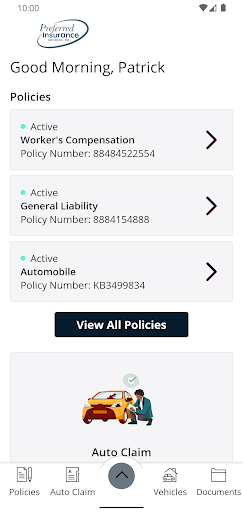 Preferred Insurance Services Screen 2