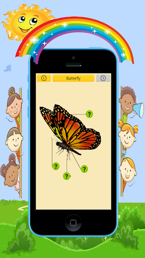 Label The Diagram For Kids Screen 3