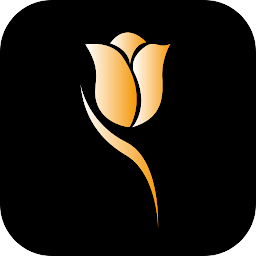 Yiduo Visual: Download & Review