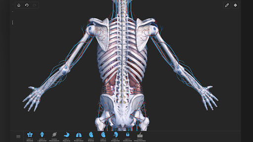 Screenshot of Visual Anatomy 3D - Human body