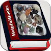Rocks & Minerals Book icon