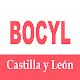 BOCYL Boletín Oficial Castilla y León per PC Windows