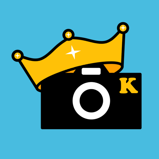 Kingdomino CamScore  Icon