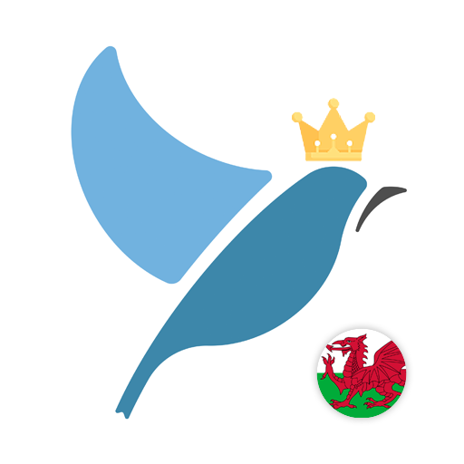 Welsh Language Tests Windows에서 다운로드