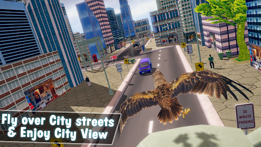 Crappy Bird Pigeon Simulator