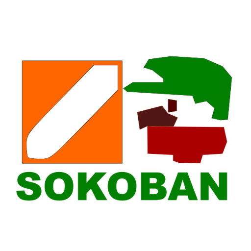 Brain Sokoban logo