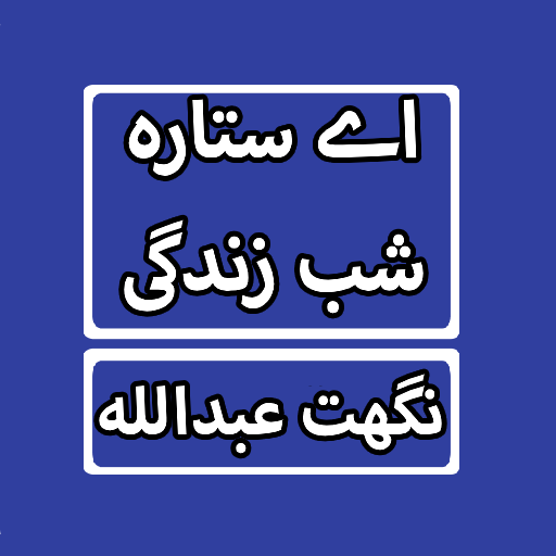 Aye Sitara Shab Zindagi By Nig