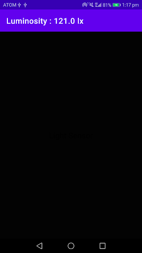 Luminosity Detector Screen 2