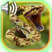 Snake Sounds  Icon