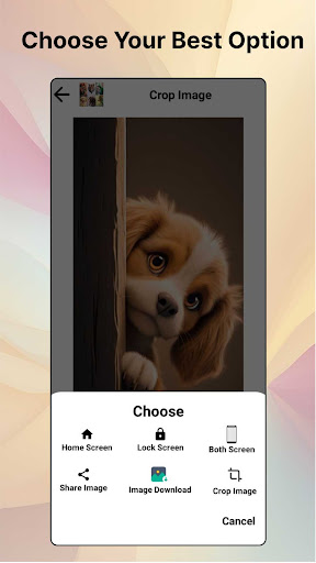 Animal Wallpaper HD  4K Photo