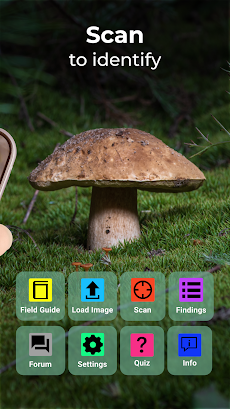 Mushroom Identificationのおすすめ画像2