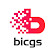 Bicgs icon