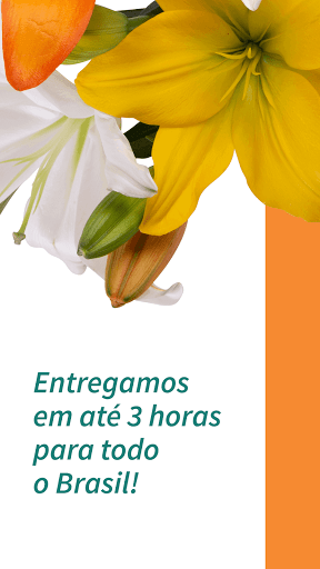 Nova Flor - Floricultura Onlin Screen 3
