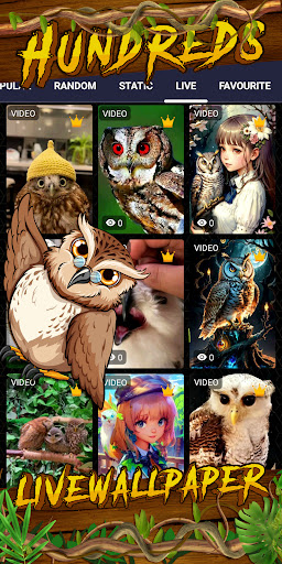 owl wallpaper Screen 3