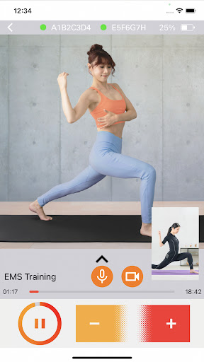 e-skin EMStyle Personal Screen 2