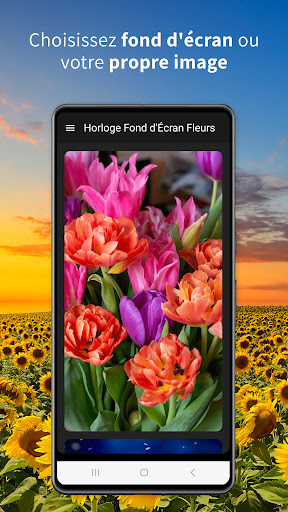 Aperçu de l'application