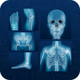 X-Ray Interpretation Guide icon