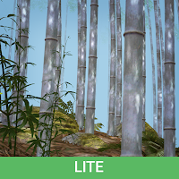 Живые обои Бамбуковая роща 3D Lite