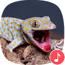 Appp.io - Gecko Sounds