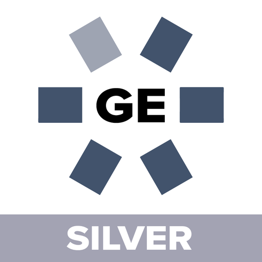 GE RFS - Silver Logo