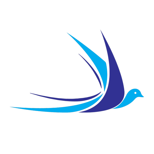 Salaam Air Express logo