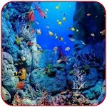 Cover Image of Скачать Background Under The Sea wallp  APK