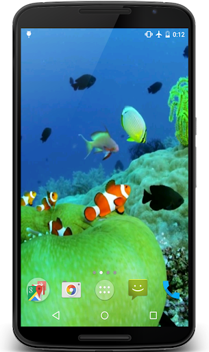 Android application Clownfish Video Live Wallpaper screenshort