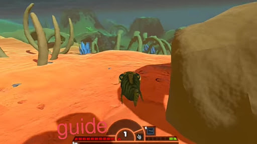 Fish feed and grow new 2021 guide