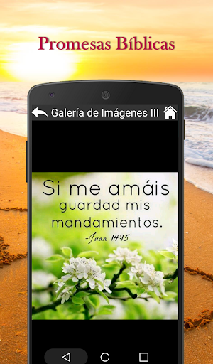 Promesas Bíblicas Cristianas Screen 2