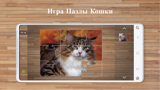 Предварительный просмотр приложения