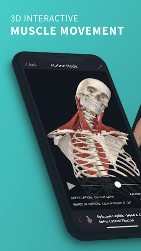 Download Complete Anatomy '21 - 3D Human Body Atlas on PC ...