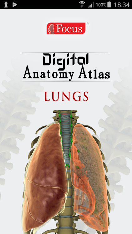 Lungs - Digital Anatomy Atlas - 1.6 - (Android)