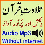 Shatri Quran Mp3 Audio Tilawat icon