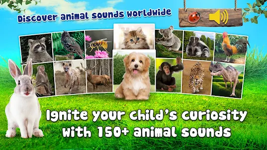 Animal sounds for kids