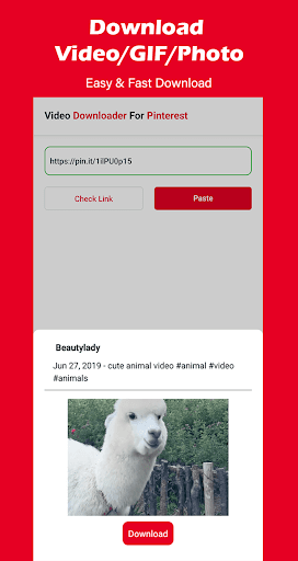 Video Downloader For Pinterest 15