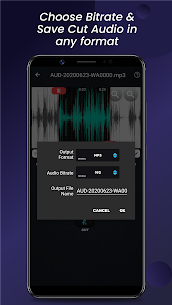 MP4, MP3 Video Audio Cutter, APK+MOD (Premium Features Unlocked) v0.9.4 4