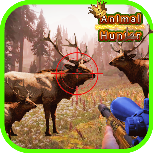 Shooting Animal Sniper Hunting