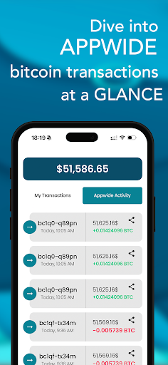 BTC Address Monitoring Screen 3